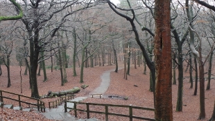 Manchester and Salford Ramblers, Tandle Hill 2016